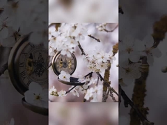 লিলি রোজ ওসম্যানথাস দাঁত সাদা কাগজের প্যাকেজিং 400g মধ্যে দাঁত সাদা দাঁত প্যাস্ট